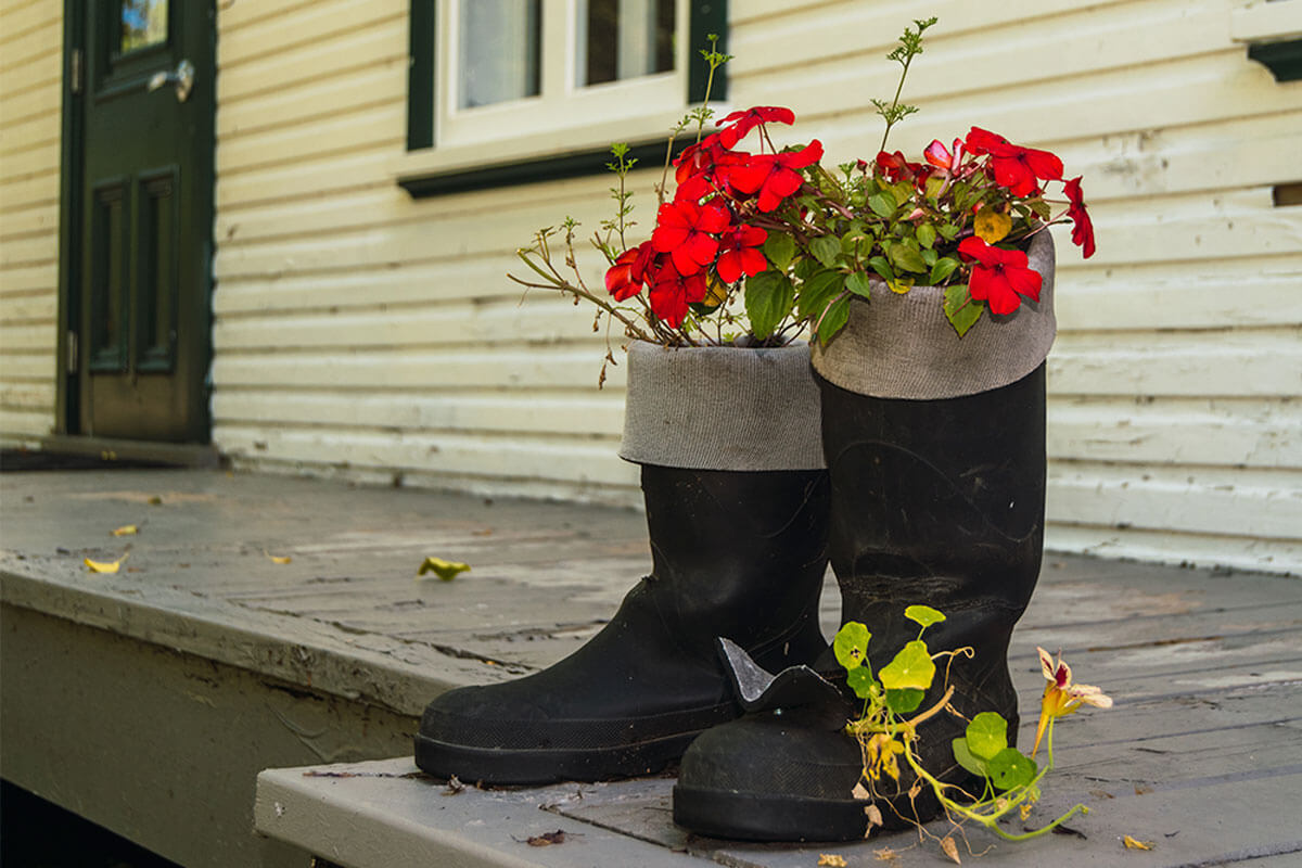 Boots and shoes can be very original pots.
