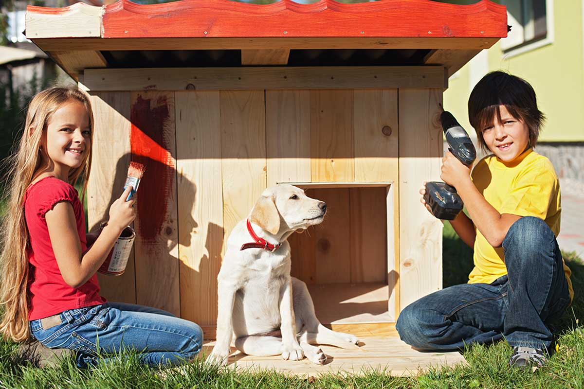Prepare the wood for your dog's house.