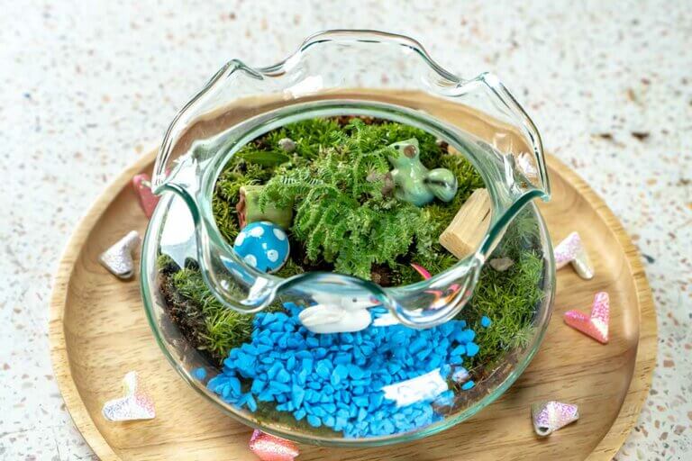 Crea tu propio jardín acuático en casa