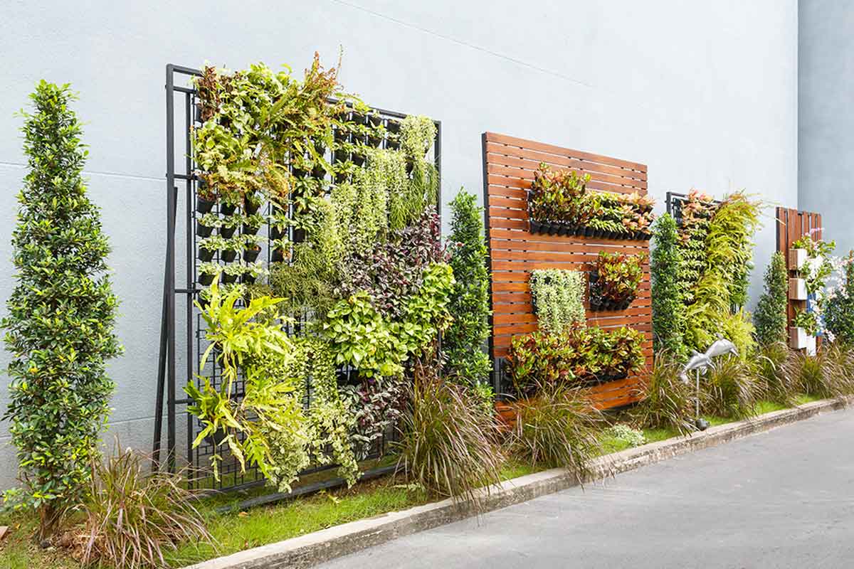 Doubts about vertical gardens and green walls
