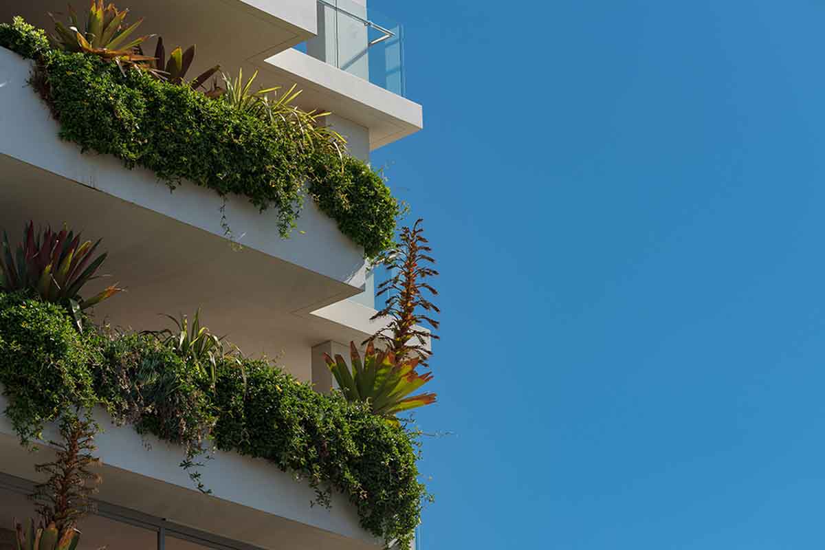 Overhangende planten op je terras