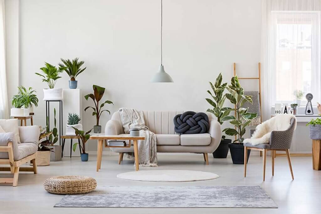 Decorate your elegant living room with large plants.