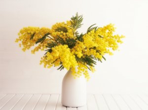 vaso bianco con fiori gialli