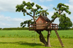 Costruire una casa sull'albero per i bambini, ecco 5 modi per farlo