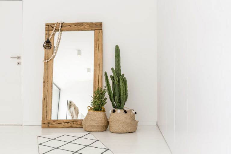 specchio con cornice in legno e piante cactus 