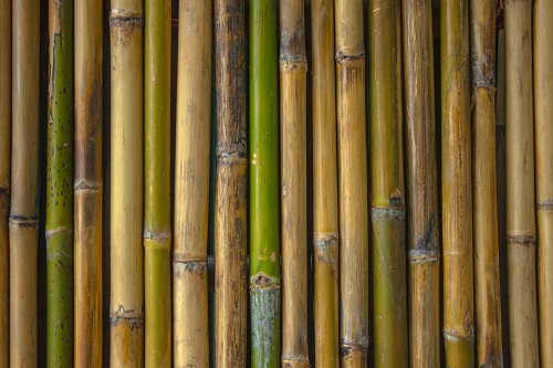 Decorare il bagno con il bambù: idee originali