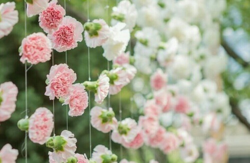 Delle ghirlande di fiori rosa per decorare le finestre senza tende