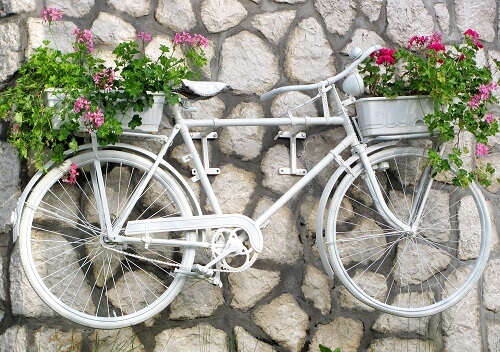 Una bicicletta fiorera appesa a un muro
