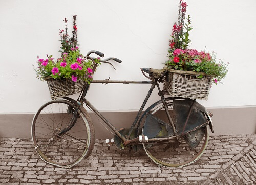 Una bicicletta fiorera appoggiata a un muro