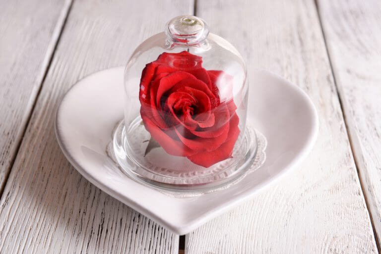 Campana di vetro con fiore rosso