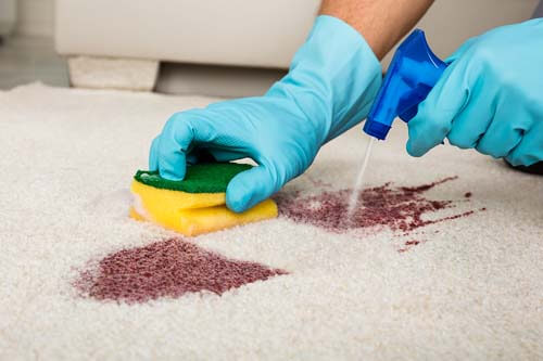 Come pulire un tappeto senza spostarlo