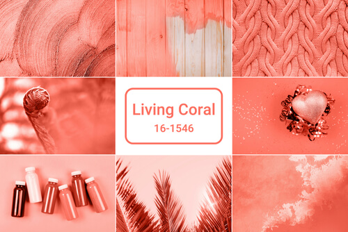 Living coral