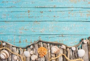 Il driftwood: un materiale eco molto trendy