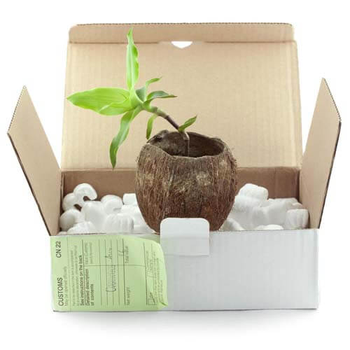 Vaso per piante in scatole di cartone