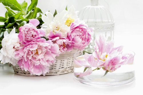 fiori in cesta di vimini