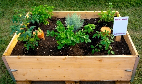 Come creare un orto sul terrazzo di casa: le casse in legno