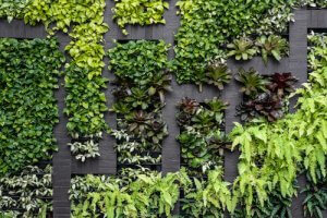 Tipi di muri per abbellire il vostro giardino