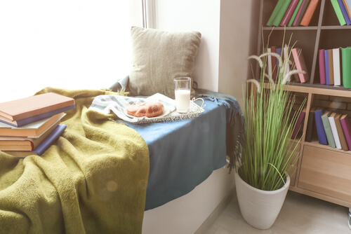 cuscino pianta e coperta in angolo lettura