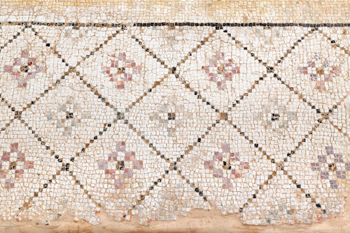 I mosaici coprivano i pavimenti delle case romane