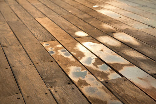 tavole di legno di un pavimento con umidità