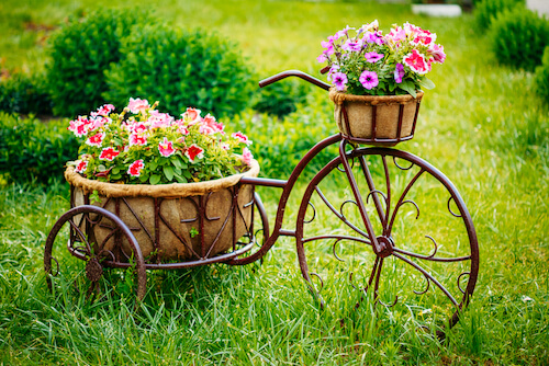 bicicletta riutilizzata come vaso per i fiori