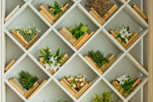 Organizzare le piante all'interno di scaffali geometrici