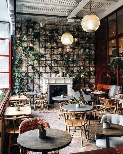 Bar con la parete piena di piante.