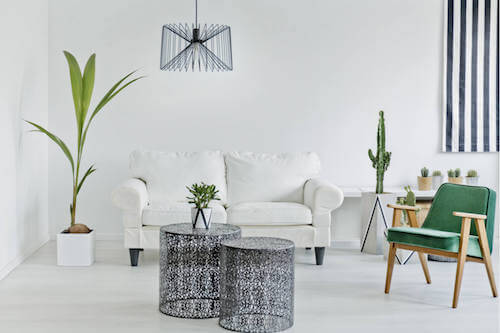Soggiorno con divano bianco decorato con piante grasse.