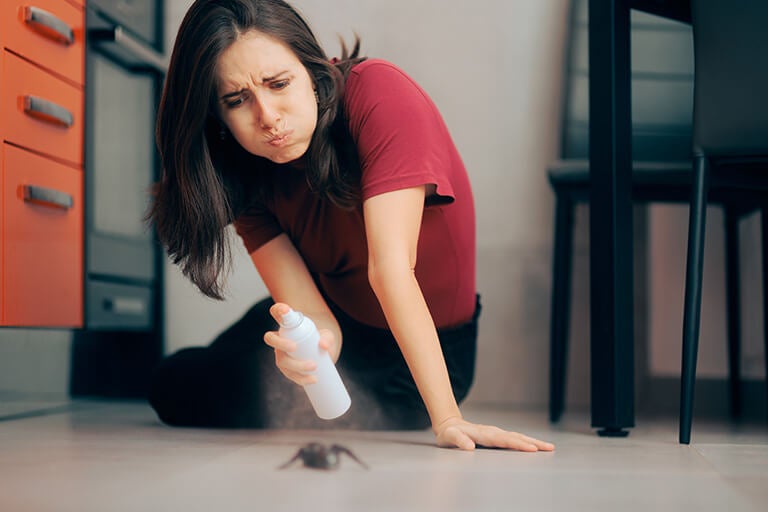 I trucchi casalinghi per eliminare sei tipi di insetti