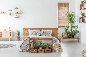 Decorare la camera da letto con le piante? Mai stato così semplice