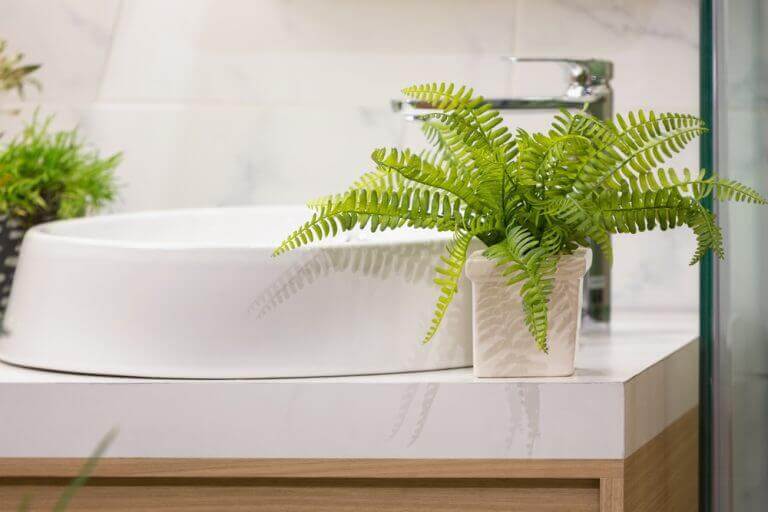 シダ植物：新しく刺激的なインテリアのトレンド　浴室