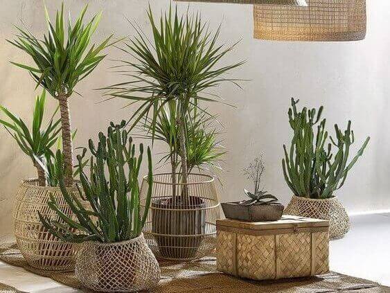 天然繊維の植木鉢