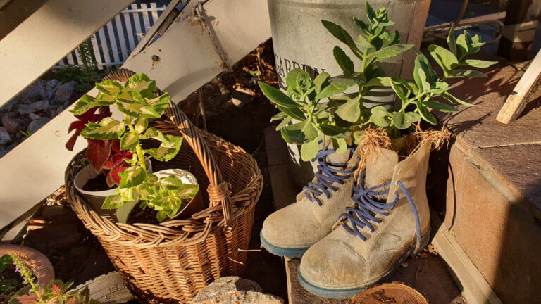 ブーツやスニーカーを花の植木鉢として再利用！