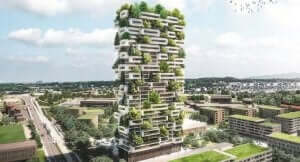 지속 가능한 건축: 숲 빌딩 - 스위스 투르 데 세르데스