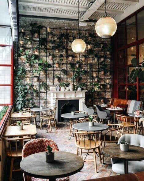 투박한 스타일의 카페 인테리어 식물 벽 이미지