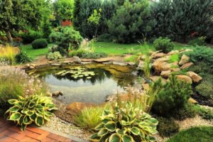 정원 연못: 3가지 타입의 연못들