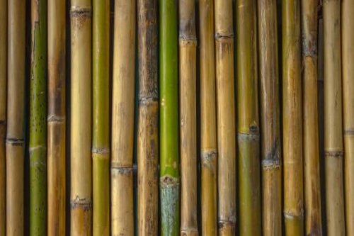 Bamboe in de badkamer? Originele ideeën en tips