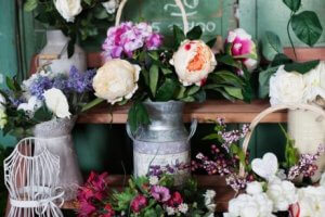 4 bloeiende kamerplanten voor je huis