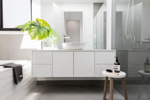witte badkamer met een philondendron
