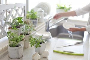 8 ideeën om je keuken met planten te decoreren