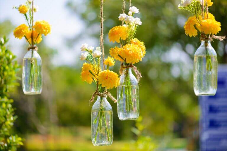 Glazen flessen met gele bloemen
