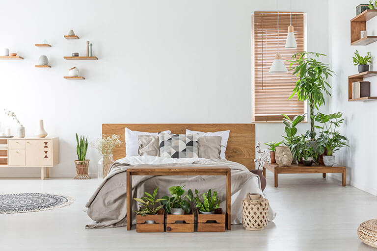 Decoreer je slaapkamer met planten: het is eenvoudig