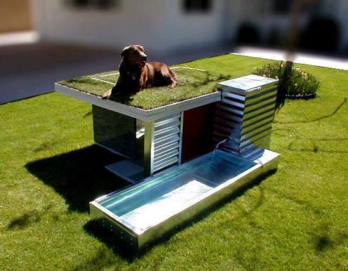 casinhas de cachorro com terraço