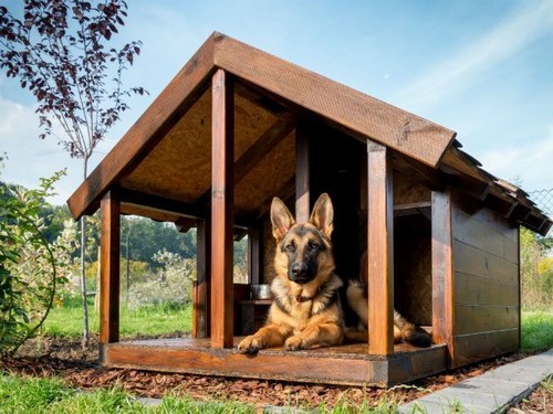 casinhas de cachorro com varanda
