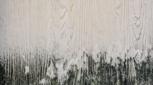 Como remover manchas de mofo da madeira