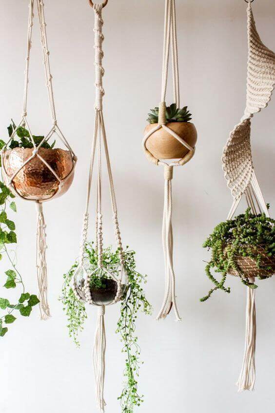 Ideias para decorar com plantas suspensas