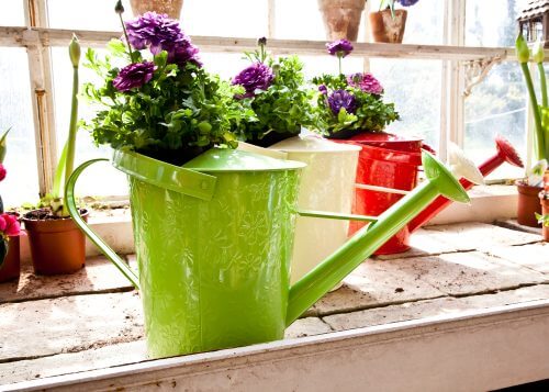 çiçek sulama kabından vazo