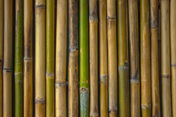 Banyonuzu Bambu Kamışı ile Dekore Etmek