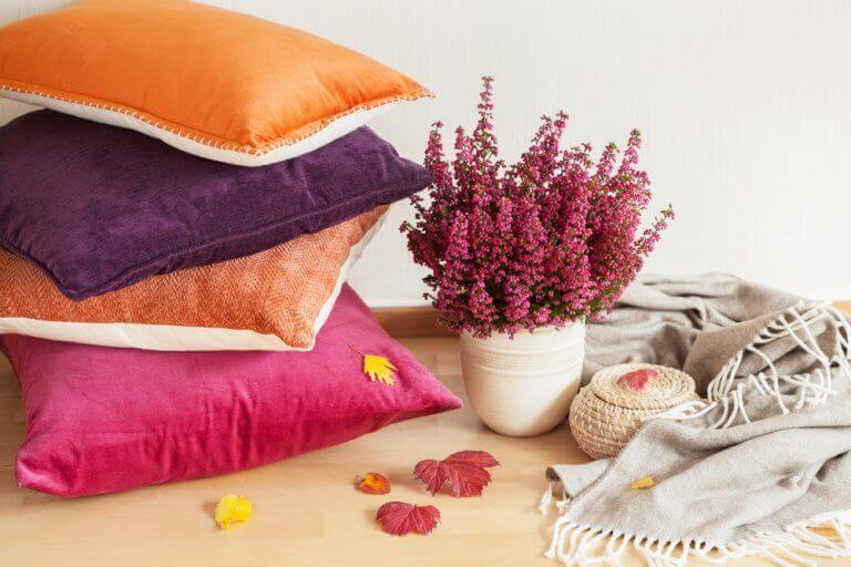 Renkli yastıklar ve bitkiler