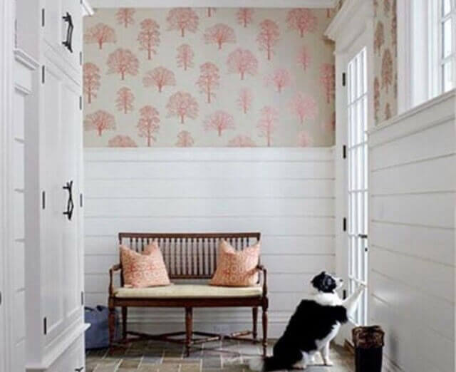 Girişte beyaz duvar paneli ve kapıyı açmaya çalışan köpek